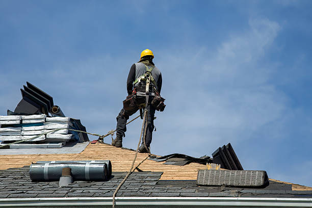 Professional Roofing technician working in Shelly, MN